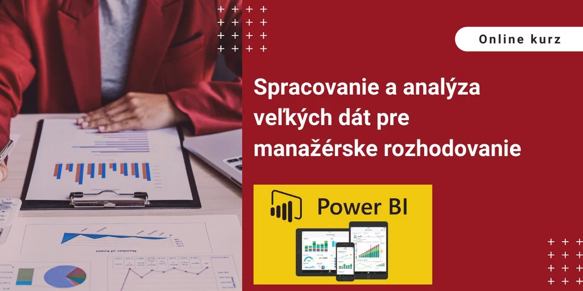 Spracovanie a analýza veľkých dát pre manažérske rozhodovanie